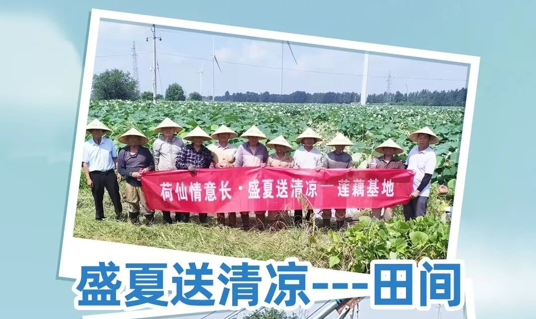 k豆钱包官方网站 - kdpay钱包