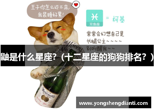鼬是什么星座？(十二星座的狗狗排名？)